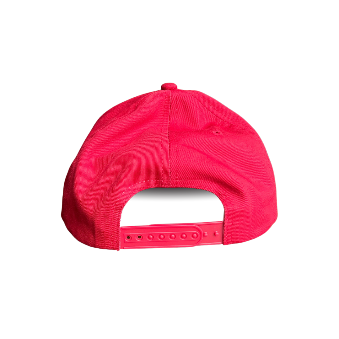 Nebraska: The Beef State Hat
