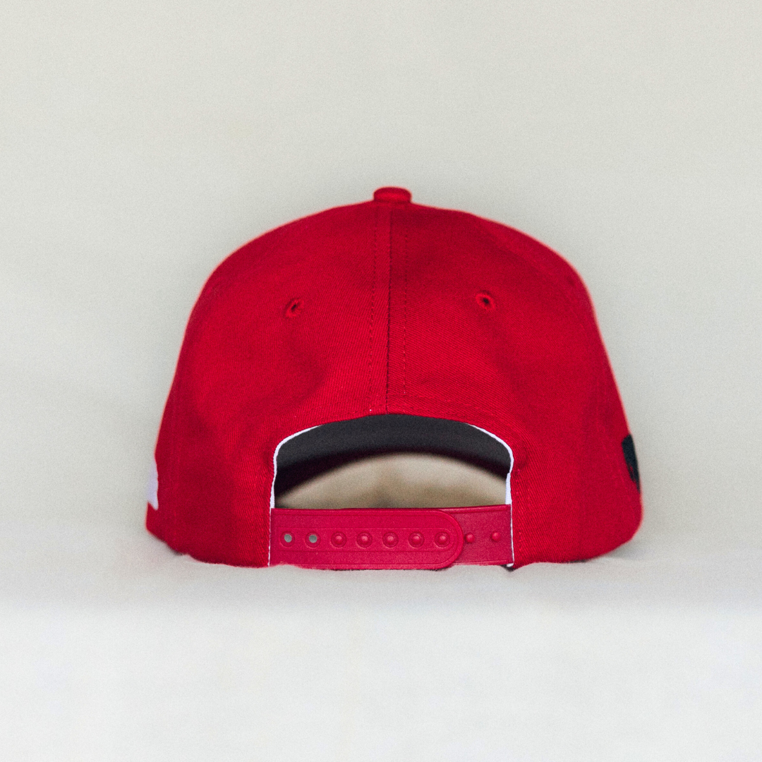 Nebraska: The Beef State Hat