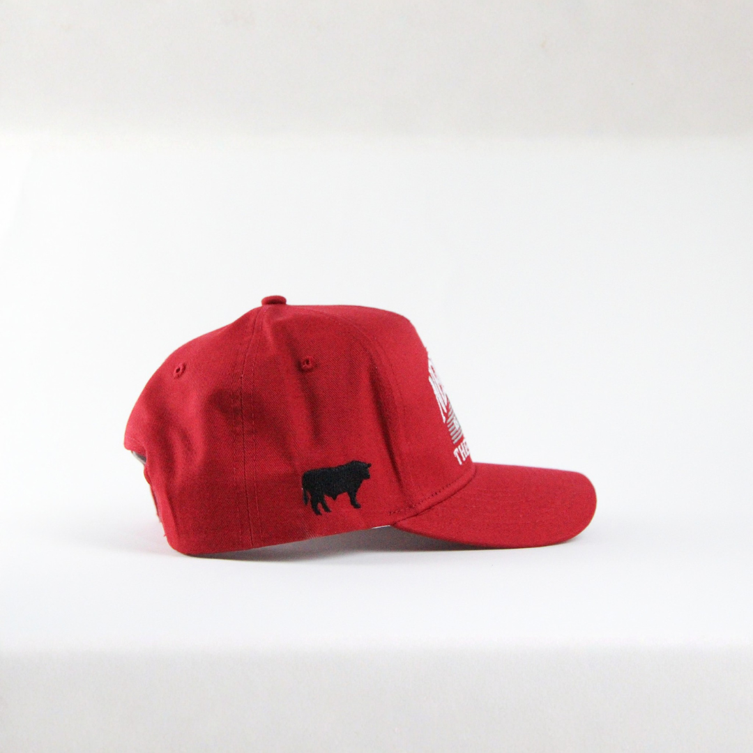 Nebraska: The Beef State Hat