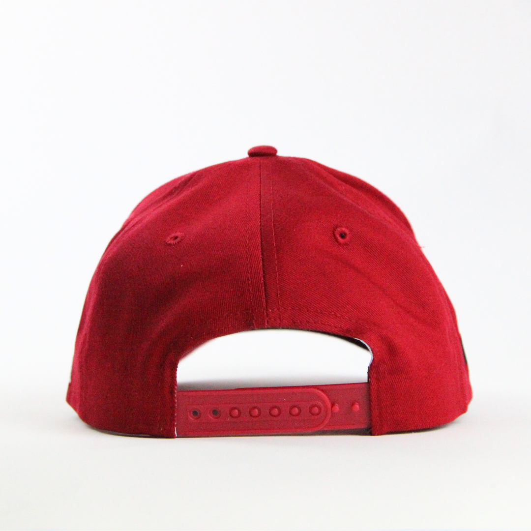 Nebraska: The Beef State Hat
